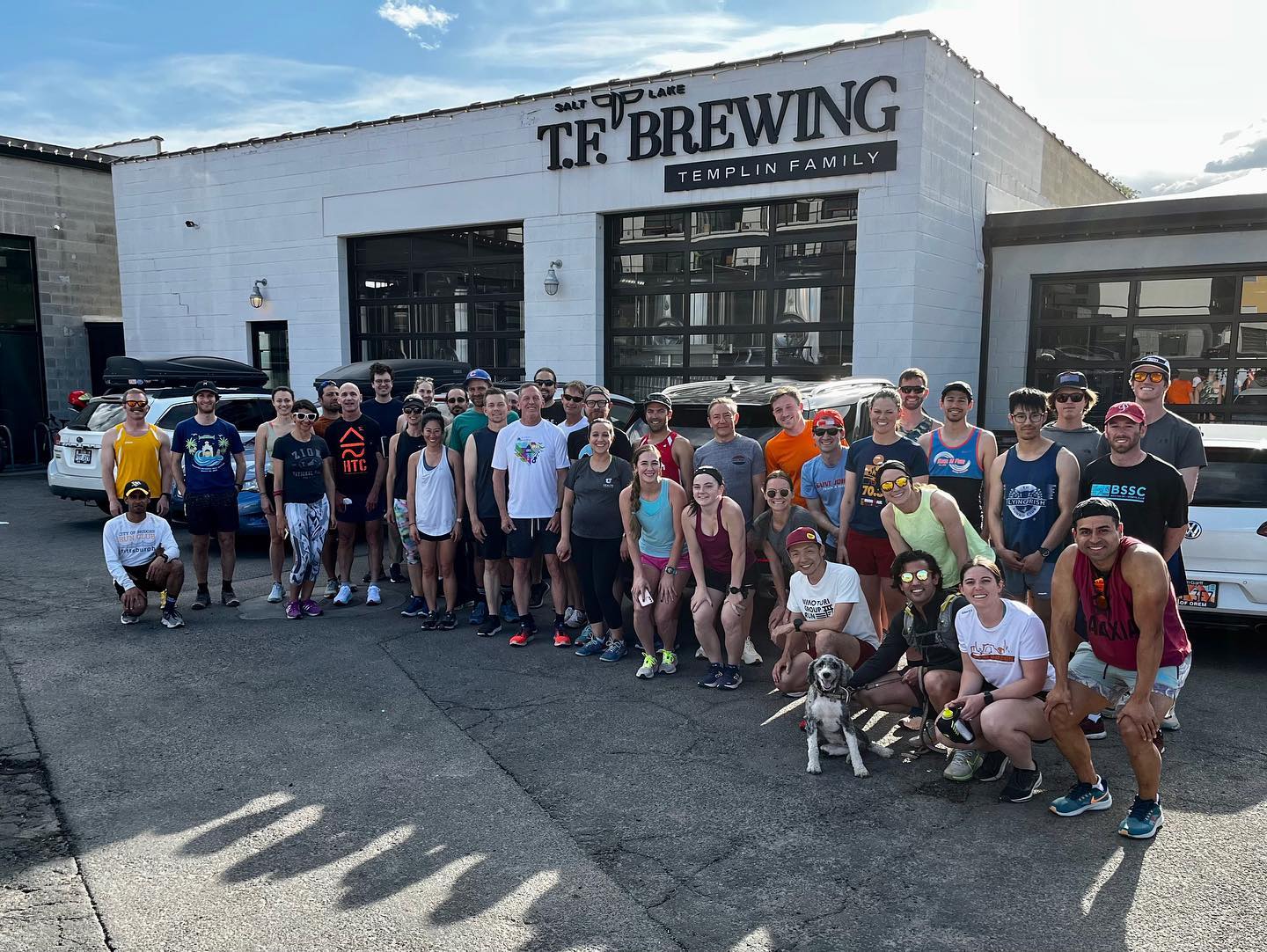 tf brewing
